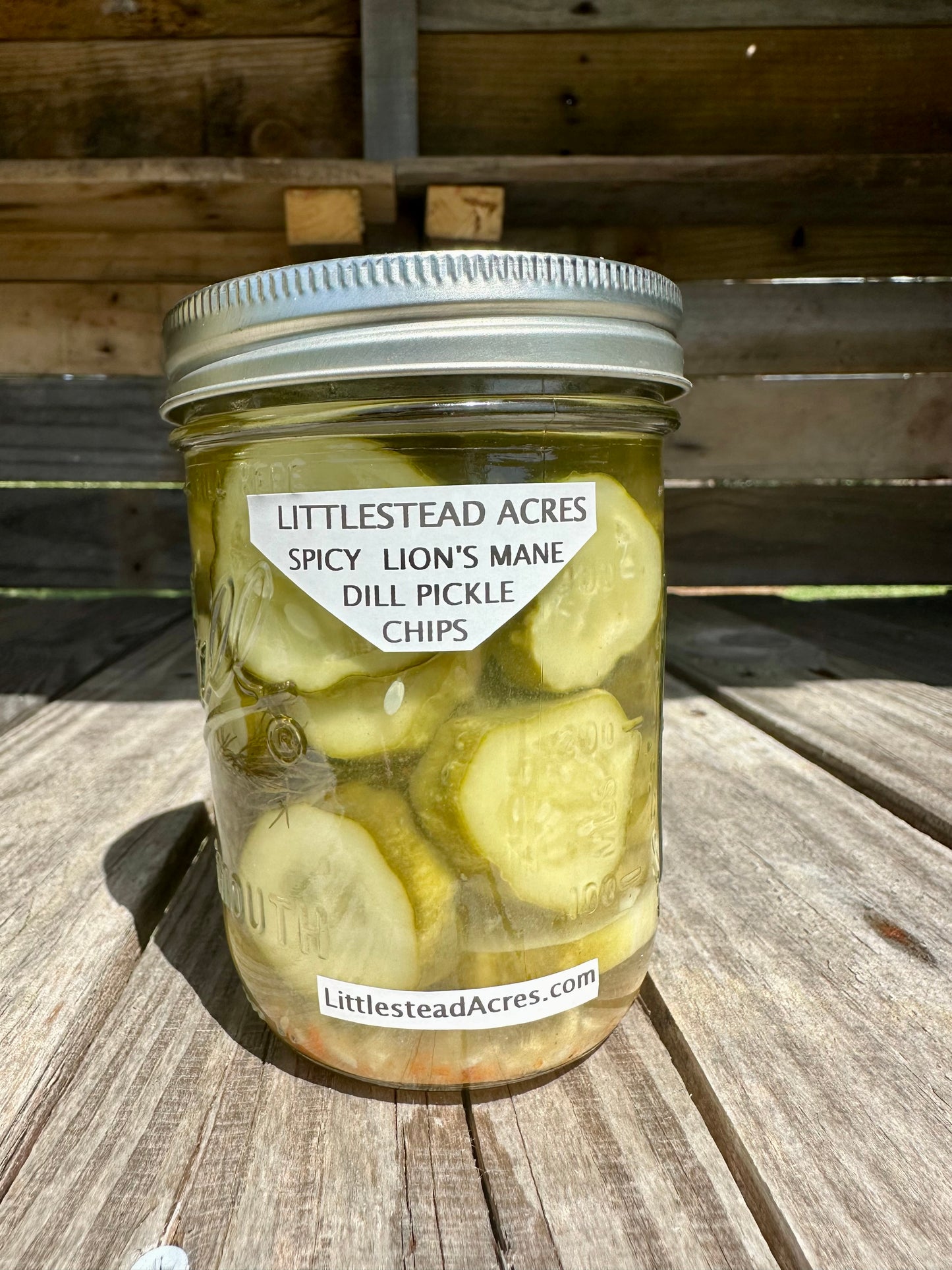 Pickles, Lions Mane spicy Dill Chips