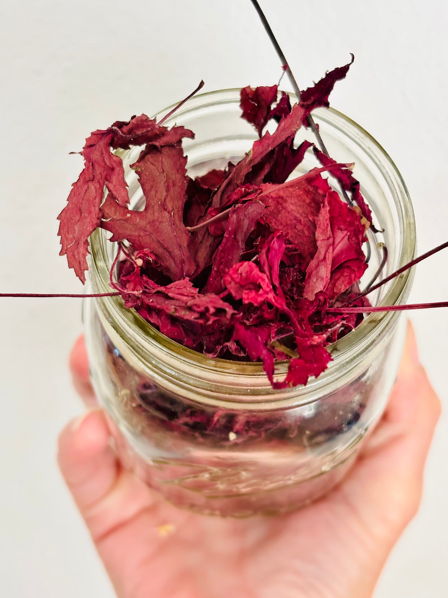 Cranberry Hibiscus Leaf Tea πΊπ΅