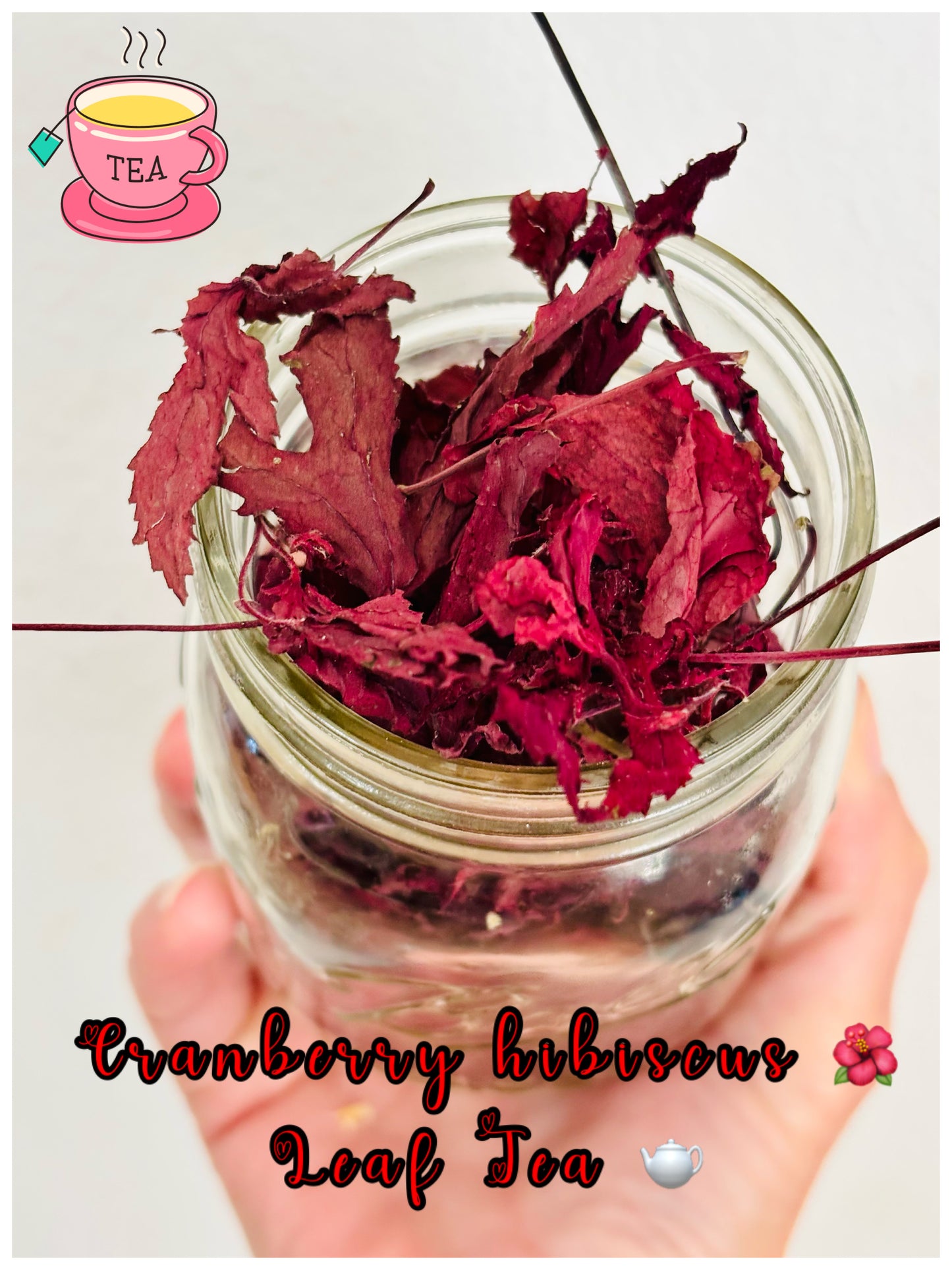 Cranberry Hibiscus Leaf Tea πΊπ΅