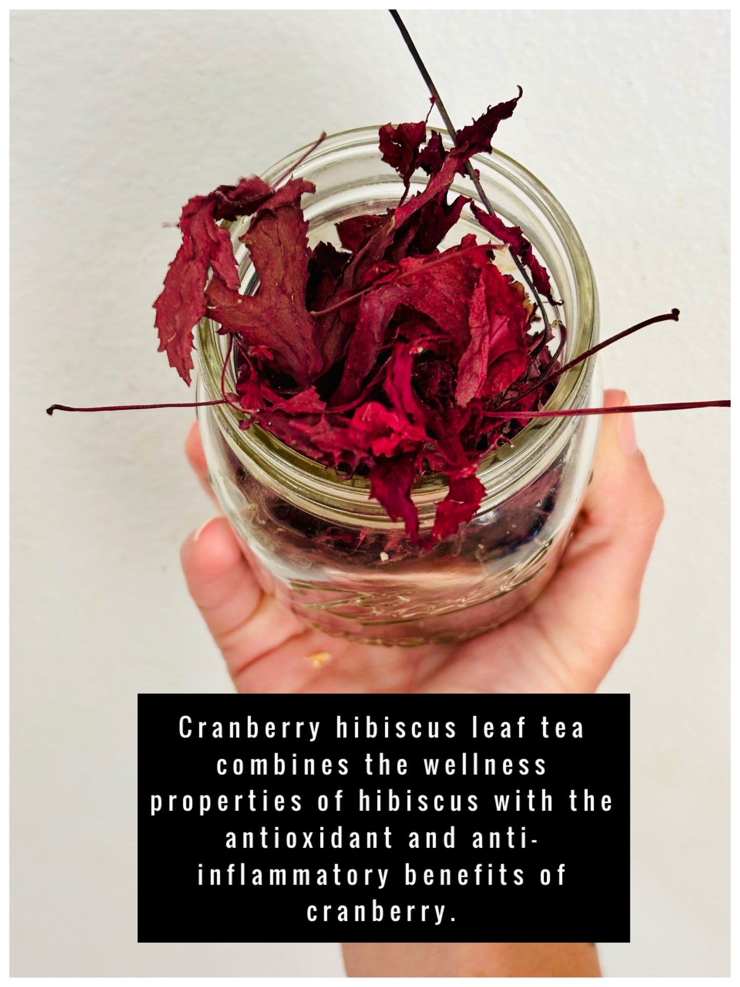 Cranberry Hibiscus Leaf Tea πΊπ΅