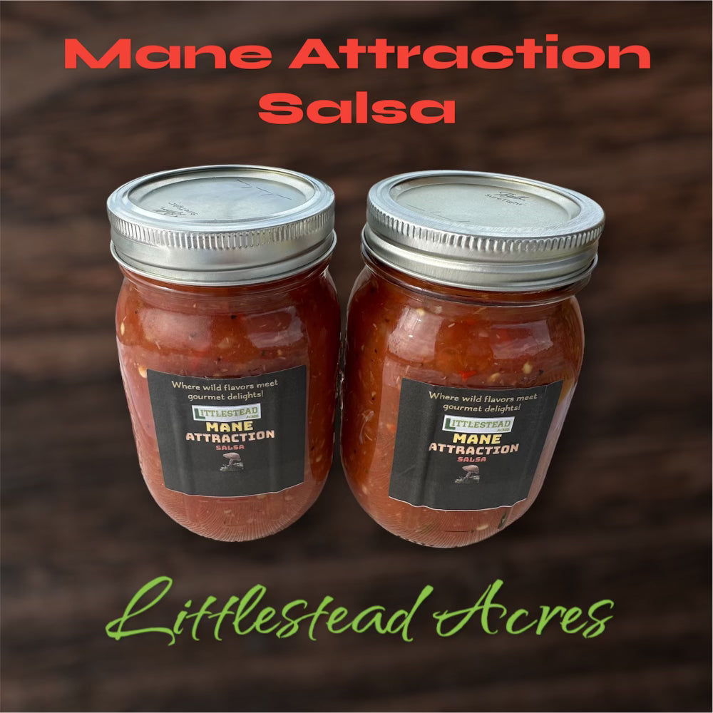 Mane Attraction Salsa