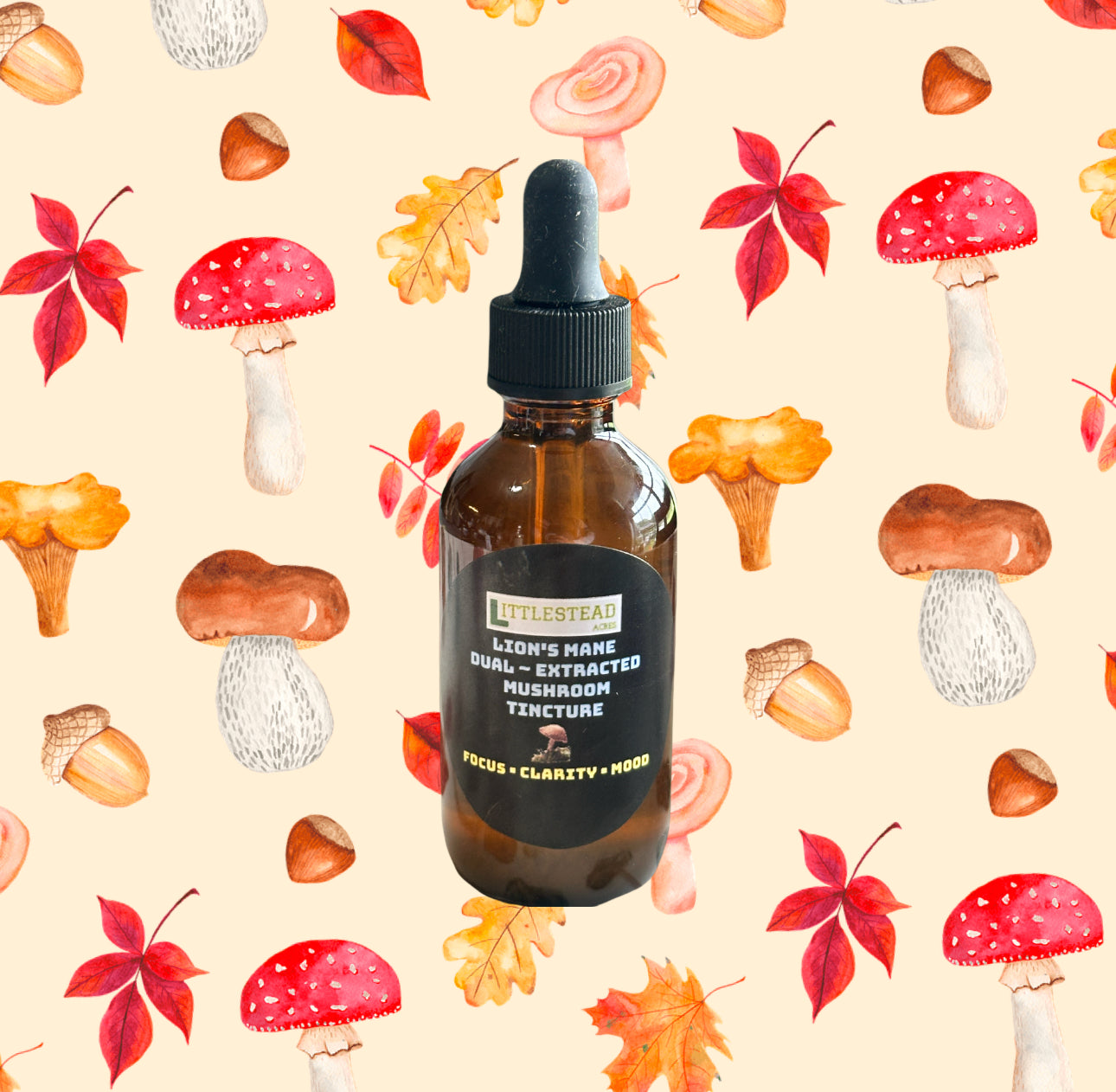 Lions Mane Dual Extract Tincture