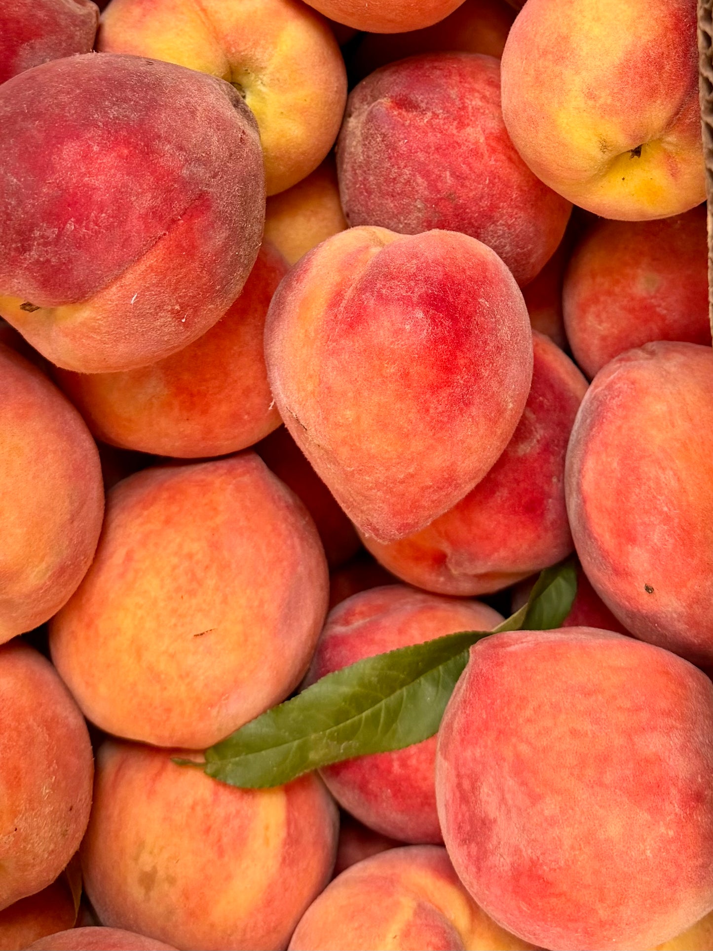 Peach Of Mind Fresh Georgia Peach Jam
