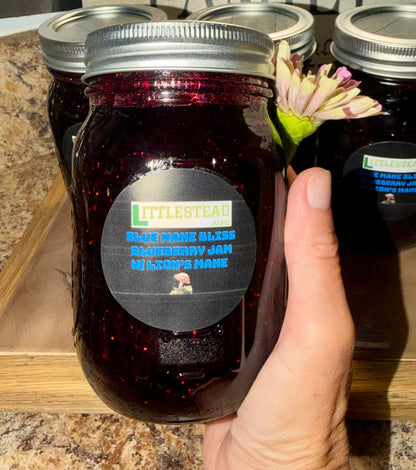 Blue Mane Bliss Blueberry 🫐 Jam Infused with Lion’s Mane