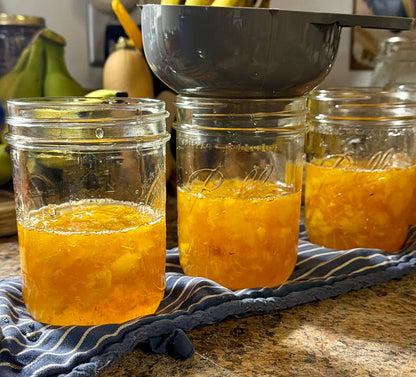 Littlestead Acres Peach Punch Habanero Jam 🍑