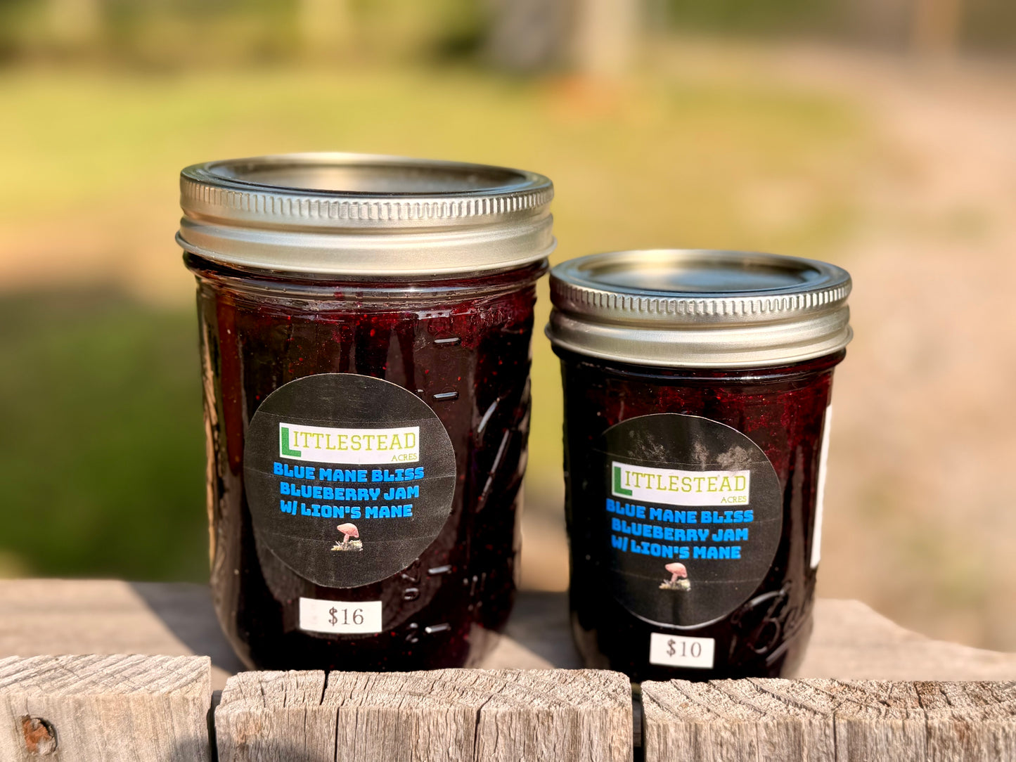 Blue Mane Bliss Blueberry 🫐 Jam Infused with Lion’s Mane