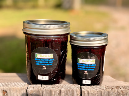 Blue Mane Bliss Blueberry 🫐 Jam Infused with Lion’s Mane