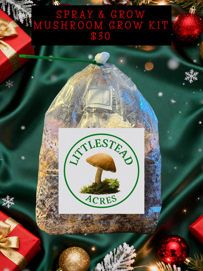 🌱 Littlestead Acres Spray & Grow Mushroom Kits 🍄