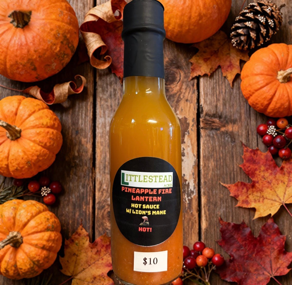 🍍 Littlestead Acres Pineapple Fire Lantern Hot Sauce with Lion’s Mane 🔥