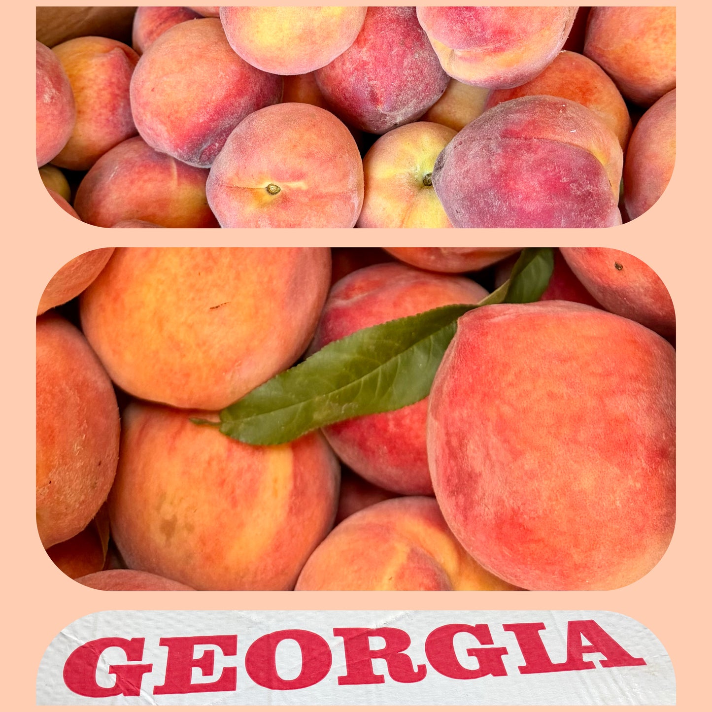 Peach Of Mind Fresh Georgia Peach Jam